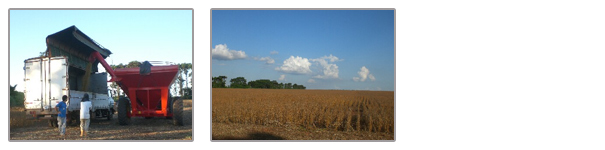 解体待ちの車両